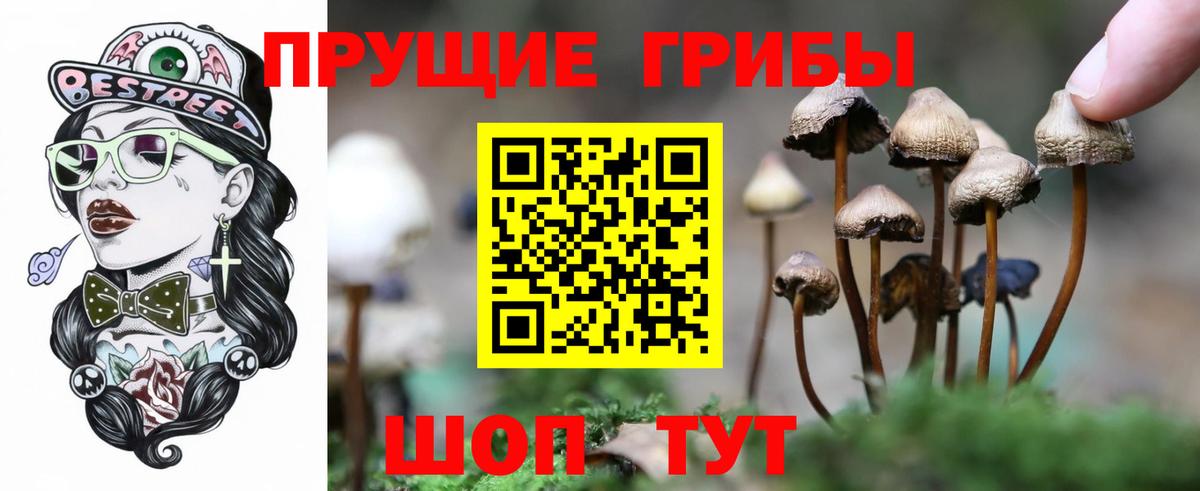 Псилоцибиновые грибы Cubensis Заводоуковск